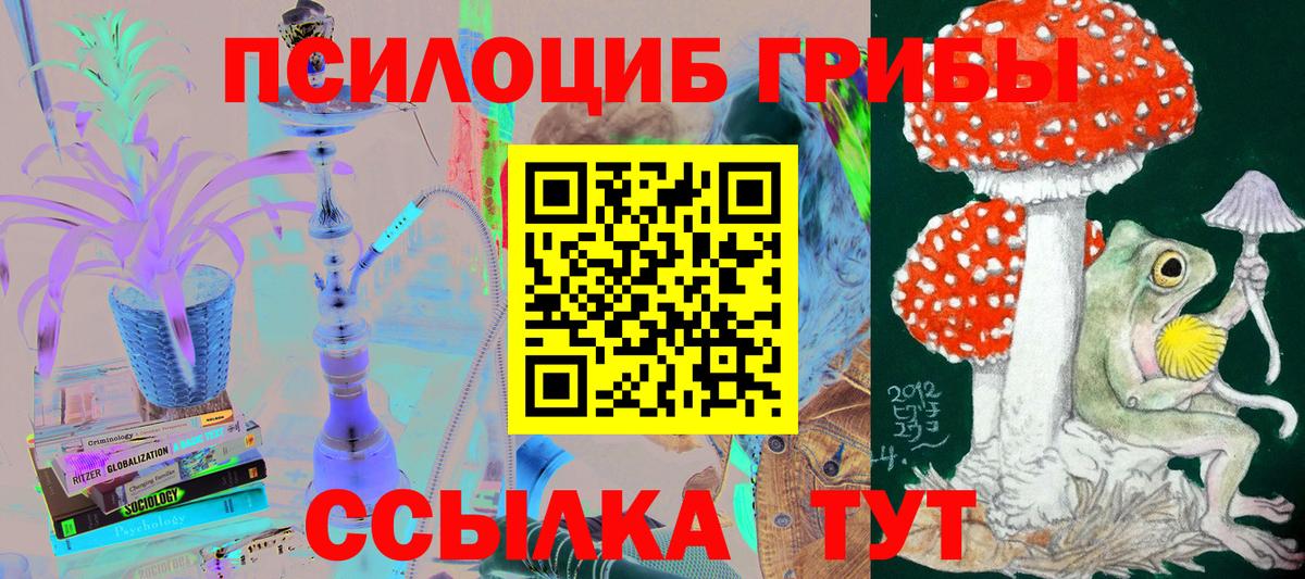 что такое   Псилоцибиновые грибы мицелий  Вход с VPN  Великий Новгород 